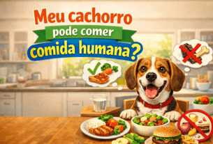 Meu cachorro pode comer comida humana?