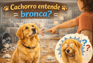 Cachorro Entende Bronca?
