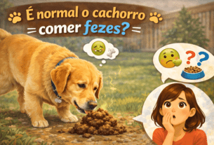 É Normal o Cachorro Comer Fezes?