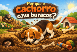 Por Que o Cachorro Cava Buracos?