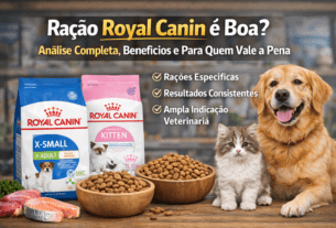 Ração Royal Canin é Boa?