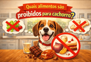 Quais alimentos são proibidos para cachorro?