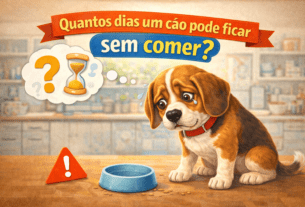 Quantos dias um cão pode ficar sem comer?