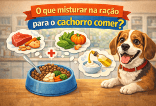 O que misturar na ração para o cachorro comer?
