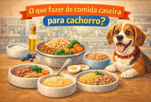 O que fazer de comida caseira para cachorro?