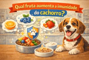 Qual fruta aumenta a imunidade do cachorro?
