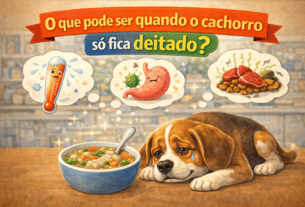 O que pode ser quando o cachorro só fica deitado?