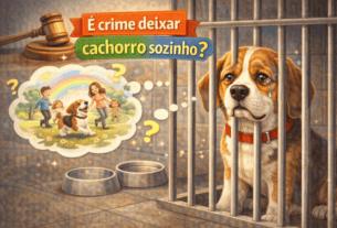 É crime deixar cachorro sozinho?