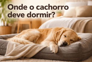 Onde o cachorro deve dormir?