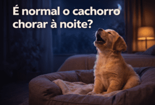 É normal o cachorro chorar à noite?