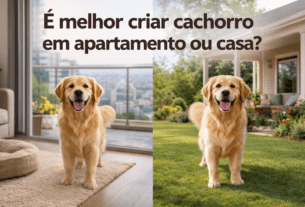 É melhor criar cachorro em apartamento ou casa?
