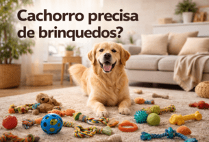 Cachorro precisa de brinquedos?
