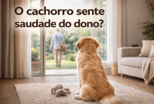 O cachorro sente saudade do dono?