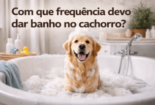 Com que frequência devo dar banho no cachorro?