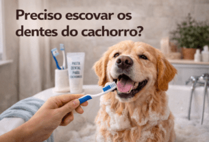 Preciso escovar os dentes do cachorro?