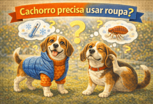 Cachorro precisa usar roupa?