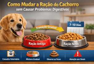 Como mudar a ração do cachorro sem causar problemas digestivos