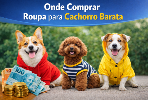 Onde Comprar Roupa para Cachorro Barata