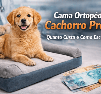 Cama Ortopédica Cachorro Preço