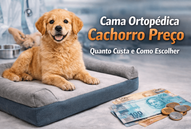Cama Ortopédica Cachorro Preço