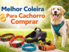 Melhor Coleira Para Cachorro Comprar